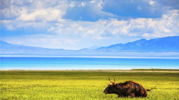 Hồ Sailimu (Sayram Lake).