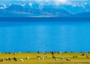 Tour Bắc Tân Cương 9N9Đ: HCM - Urumqi - Burqin - Hồ Kanas - Y Ninh - Tekes