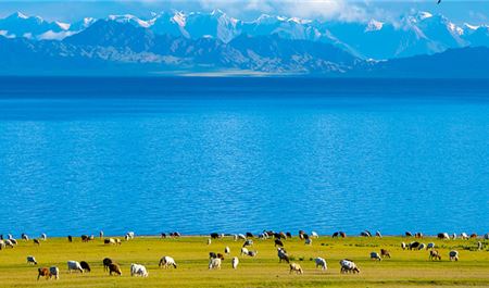 Tour Bắc Tân Cương 9N9Đ: HCM - Urumqi - Burqin - Hồ Kanas - Y Ninh - Tekes