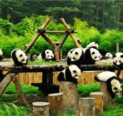 Tour Trung Quốc 6N5Đ: Hà Nội - Thành Đô - Cửu Trại Câu - Đô Giang Yển