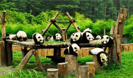 Tour Trung Quốc 6N5Đ: Hà Nội - Thành Đô - Cửu Trại Câu - Đô Giang Yển