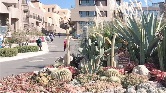 Santorini Đại Lý