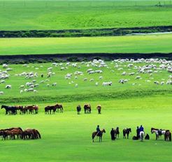 Tour Mông Cổ 5N4Đ: Ulaanbaatar - Công Viên Quốc Gia Terelj