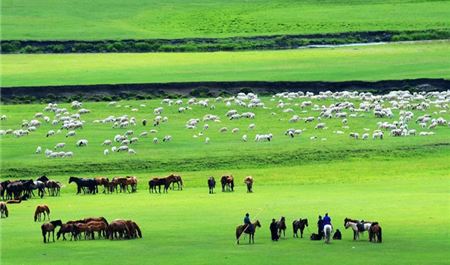 Tour Mông Cổ 5N4Đ: Ulaanbaatar - Công Viên Quốc Gia Terelj