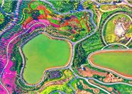 Tour Trung Quốc Đường Bộ 3N2Đ: Lào Cai - Hà Khẩu - Bình Biên - Mông Tự - Kiến Thủy - Di Lặc