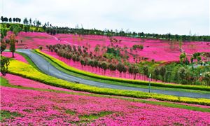 Công Viên Hồ Thái Bình