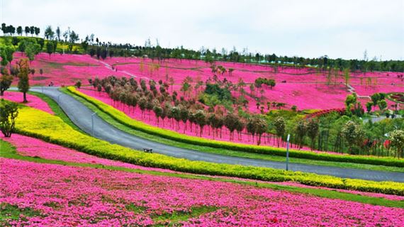 Công Viên Hồ Thái Bình