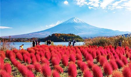 Tour Nhật Bản 5N5Đ: HCM - Kobe - Osaka - Kyoto - Tokyo - Công Viên Oishi