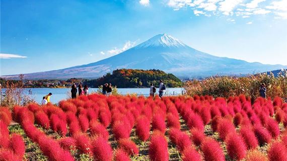 Công viên Oishi vào mùa cỏ Kokia tháng 9,10