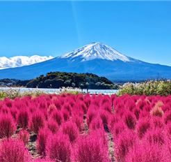 Tour Nhật Bản 6N5Đ: Osaka - Kyoto - Nagoya - Núi Phú Sĩ - Tokyo Tết Ta