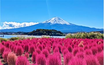 Tour Nhật Bản 6N5Đ: Osaka - Kyoto - Nagoya - Núi Phú Sĩ - Tokyo Tết Ta