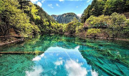 Tour Trung Quốc 6N5Đ: Hà Nội - Thành Đô - Cửu Trại Câu - Lạc Sơn Đại Phật - Tùng Phan