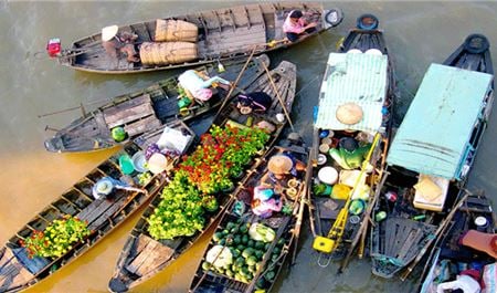 Tour Miền Tây Trong Ngày: HCM - Cái Bè - Cù Lao Tân Phong - Nhà Cổ Ba Kiệt