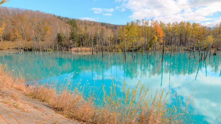 Hồ Shirogane Blue Pond