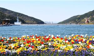 cong-vien-songhae-han-quoc-ivv.gif