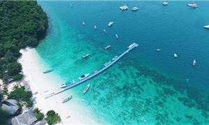 Đảo San Hô Koh Larn.
