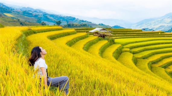 ivivu-che-cu-nha-mu-cang-chai-yen-bai-1.jpg