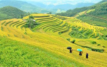 dulich vietnam travel