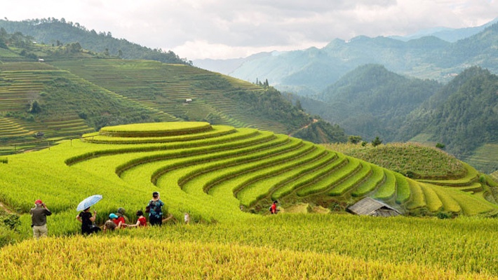 Chế Cu Nha, một trong những điểm ngắm ruộng bậc thang đẹp nhất Việt Nam.