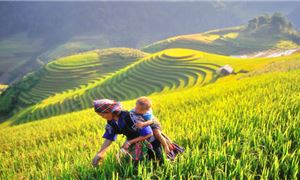 ivivu-che-cu-nha-mu-cang-chai-yen-bai-5.jpg