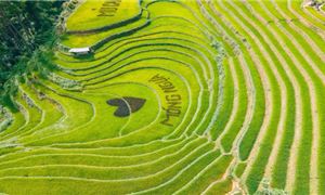 Đồi Móng Ngựa