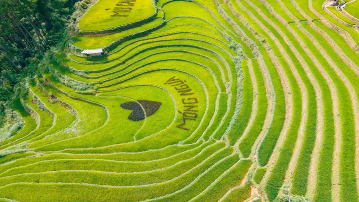 Tây Bắc 2N1Đ: Hà Nội – Mù Cang Chải – Rừng Trúc