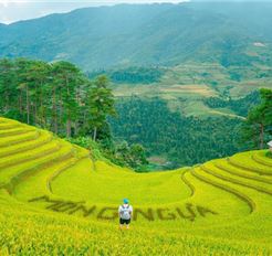 Tour Tây Bắc 3N2Đ: Hà Nội - Khám Phá Mù Cang Chải - Ngọc Chiến - Tà Xùa Mùa Lúa Chín