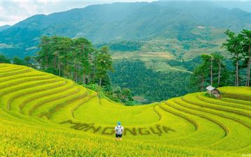 dulich vietnam travel