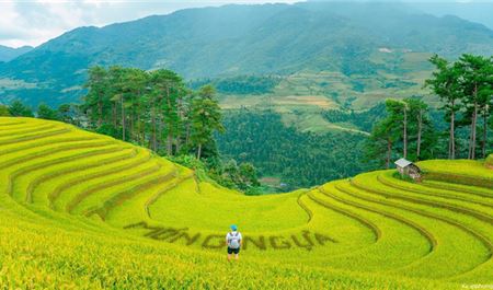 Tour Tây Bắc 3N2Đ: Hà Nội - Khám Phá Mù Cang Chải - Ngọc Chiến - Tà Xùa Mùa Lúa Chín