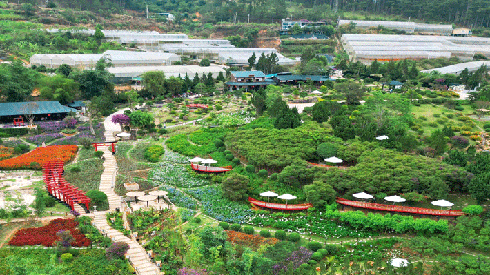 Hoàng Long Ohayo.