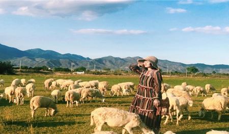 Tour Nha Trang - Ninh Thuận 4N3Đ: Hà Nội - Bản Tình Ca Nắng Và Biển