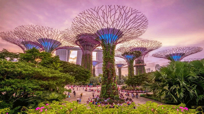 Garden By The Bay