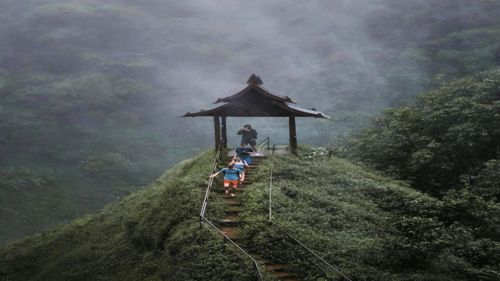 Lối đi bộ xuống thác Tad Yuang giữa thiên nhiên.