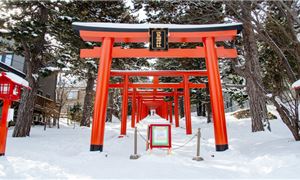Đền nghìn cột Fushimi Inari.
