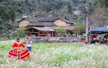 Tour Hà Giang 3N2Đ: Hà Nội - Hà Giang - Yên Minh - Đồng Văn