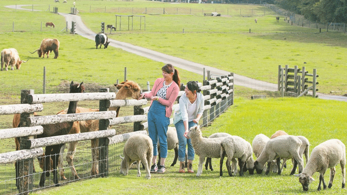 Mother Farm Nhật Bản.