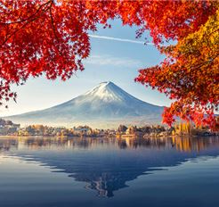 Tour Nhật Bản 6N5Đ: Tokyo - Núi Phú Sĩ - Kyoto - Osaka - Chùa Katsuoji