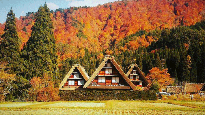 Ngôi làng cổ tích Shirakawago.