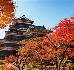 Tour Nhật Bản 5N5Đ: HCM - Osaka - Kyoto - Fuji - Tokyo (Visa Đơn Giản)