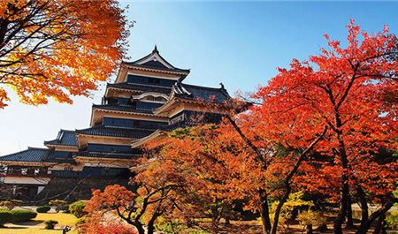 Tour Nhật Bản 5N5Đ: HCM - Osaka - Kyoto - Fuji - Tokyo (Visa Đơn Giản)