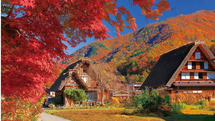 Ngôi làng cổ tích Shirakawago.