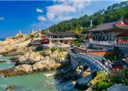 Tour Hàn Quốc 5N5Đ: HCM - Busan - Daegu - Seoul - Làng Bích Họa Gamcheon - Đảo Nami