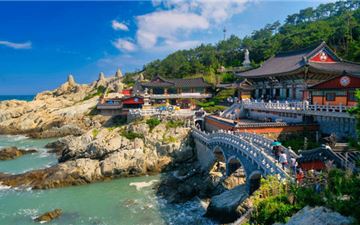 Tour Hàn Quốc 5N5Đ: HCM - Busan - Daegu - Seoul - Làng Bích Họa Gamcheon - Đảo Nami