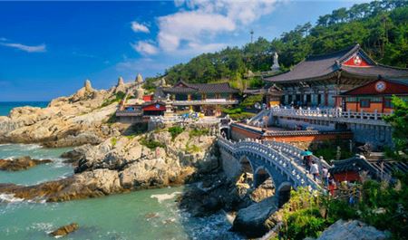 Tour Hàn Quốc 5N5Đ: HCM - Busan - Daegu - Seoul - Làng Bích Họa Gamcheon - Đảo Nami