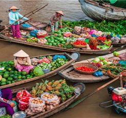 Tour Miền Tây 2N1Đ: HCM - Cù Lao Tân Phong - Nhà Cổ Ba Kiệt - Cần Thơ - Cồn Phụng