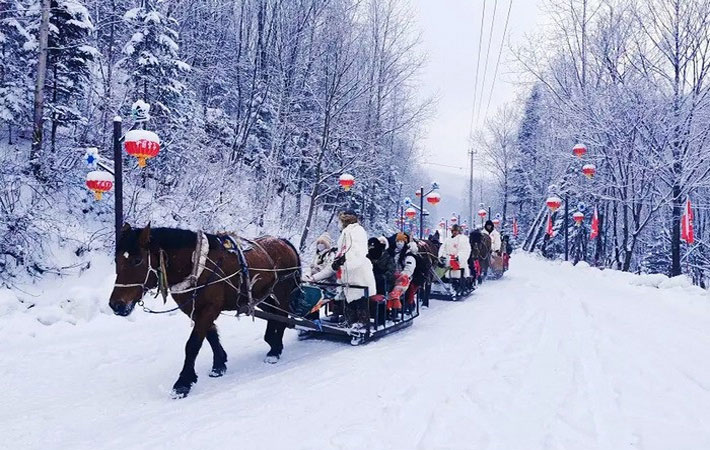 Trải nghiệm xe ngựa trượt tuyết