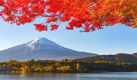 Tour Nhật Bản 5N5Đ: HCM - Osaka - Kyoto - Phú Sĩ - Tokyo Mùa Thu