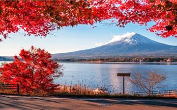 Tour Nhật Bản 5N4Đ: Hà Nội - Shizuoka - Phú Sĩ - Tokyo - Lâu Đài Kakegawa