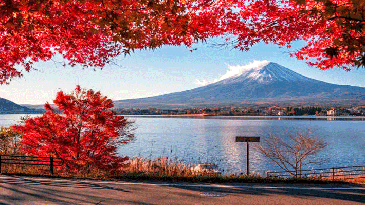 Nhật Bản 5N5Đ: HCM – Osaka – Kyoto – Nagoya – Yamanashi Mùa Thu