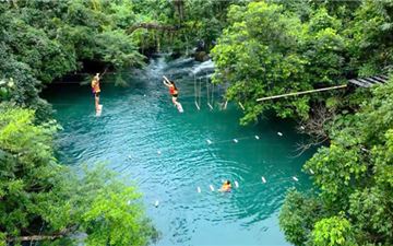 Tour Quảng Bình Trong Ngày: Khám Phá Động Thiên Đường/Động Phong Nha – Suối Nước Moọc